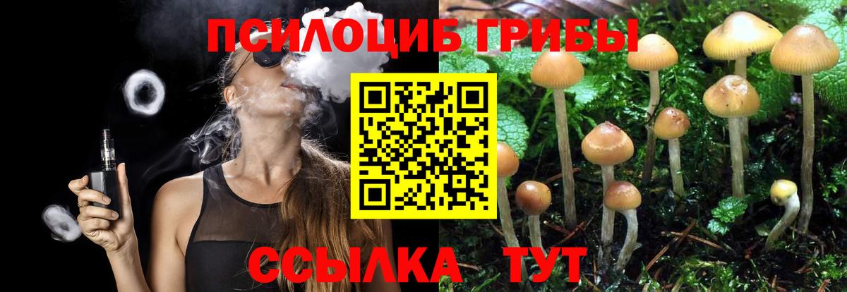 Псилоцибиновые грибы Magic Shrooms Череповец