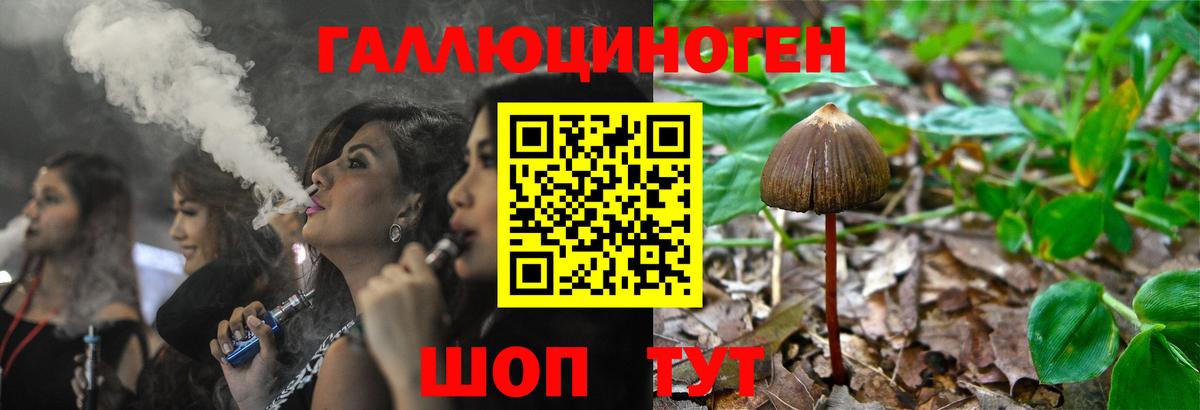 Псилоцибиновые грибы Psilocybe  Вход с VPN  Галлюциногенные грибы ЛСД  Череповец 